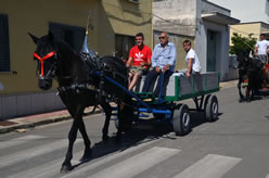 Sfilata