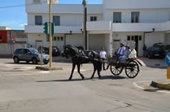 Sfilata