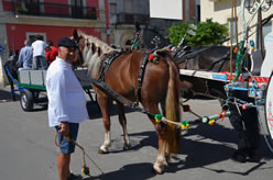 Sfilata