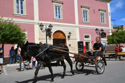 Sfilata