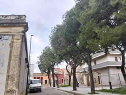 Gestione verde Galatina