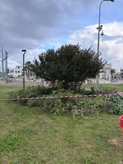 Gestione verde Galatina