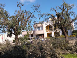 Gestione verde Galatina