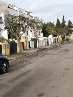 Gestione verde Galatina