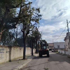 Gestione verde Galatina