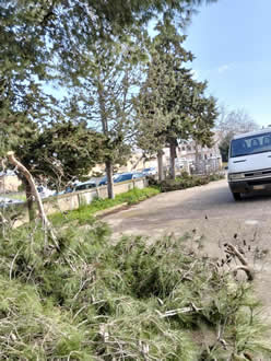 Gestione verde Galatina