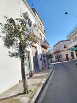 Gestione verde Galatina