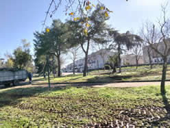 Gestione verde Galatina