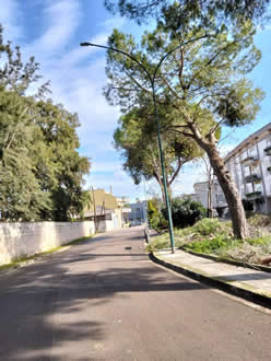 Gestione verde Galatina