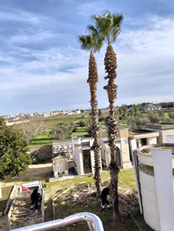 Gestione verde Galatina