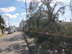 Gestione verde Galatina