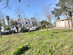 Gestione verde Galatina