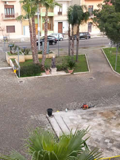 Gestione verde Galatina