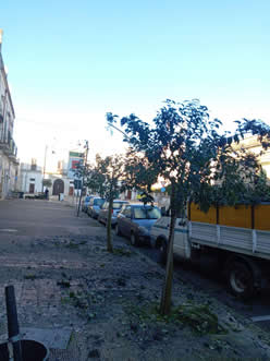 Gestione verde Galatina