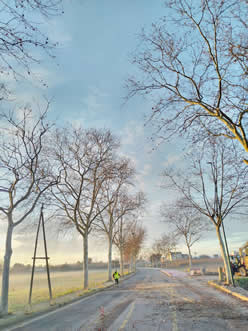 Gestione verde Galatina