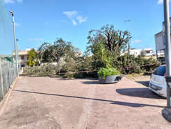 Gestione verde Galatina