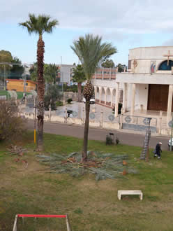 Gestione verde Galatina