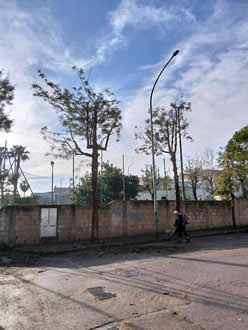 Gestione verde Galatina